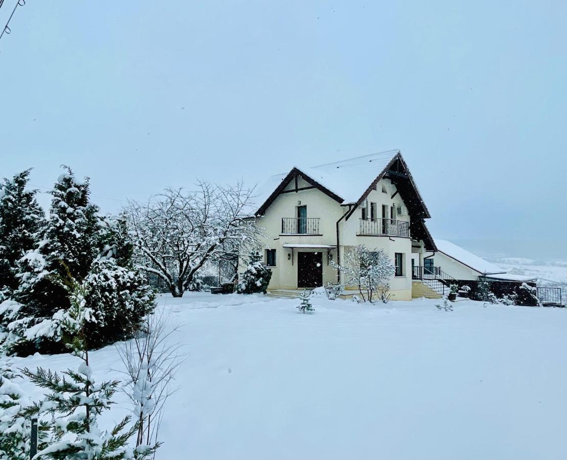 Hermesvilla Băile Felix Exterior photo