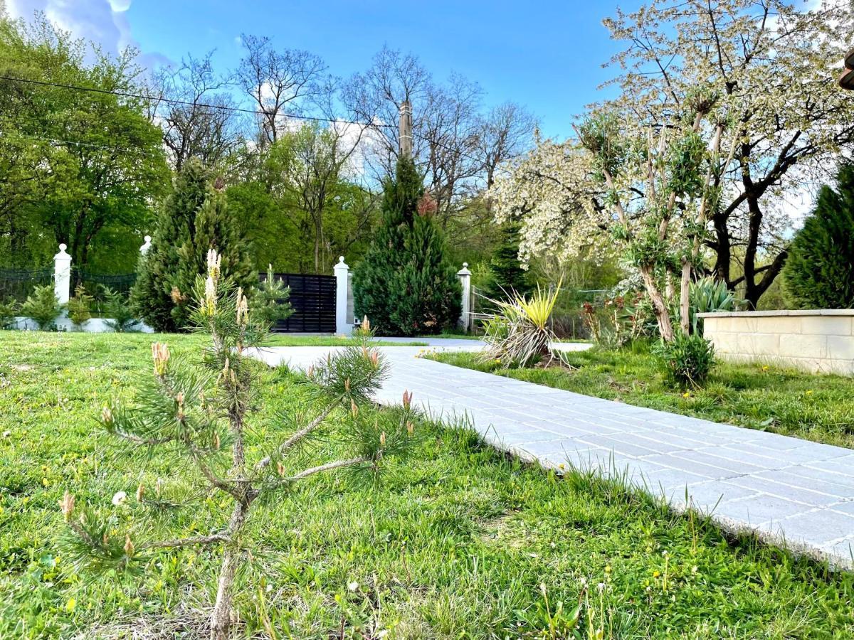 Hermesvilla Băile Felix Exterior photo